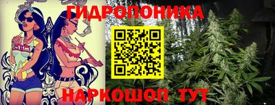 ГАЛЛЮЦИНОГЕННЫЕ ГРИБЫ Гай