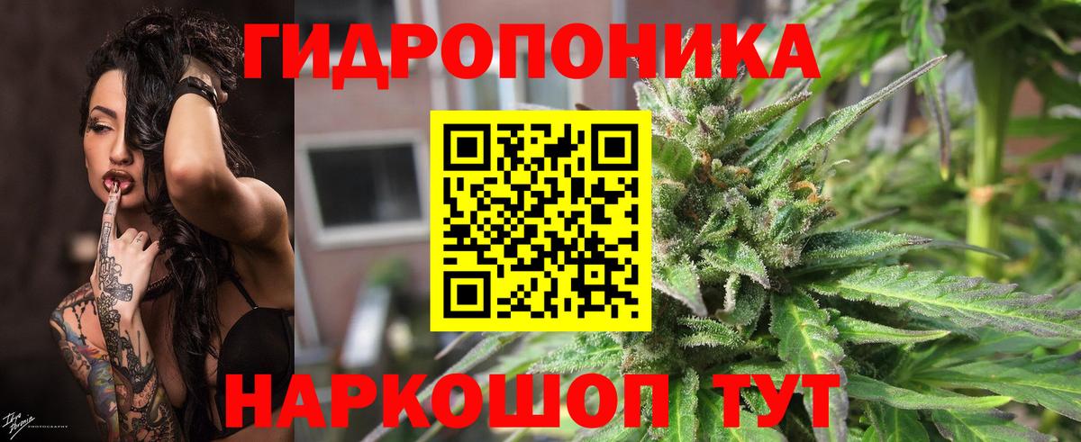 Конопля план  Конопля VHQ  Бахчисарай  Вход с VPN  Шишки марихуана THC 21%  Бошки Шишки марихуана 